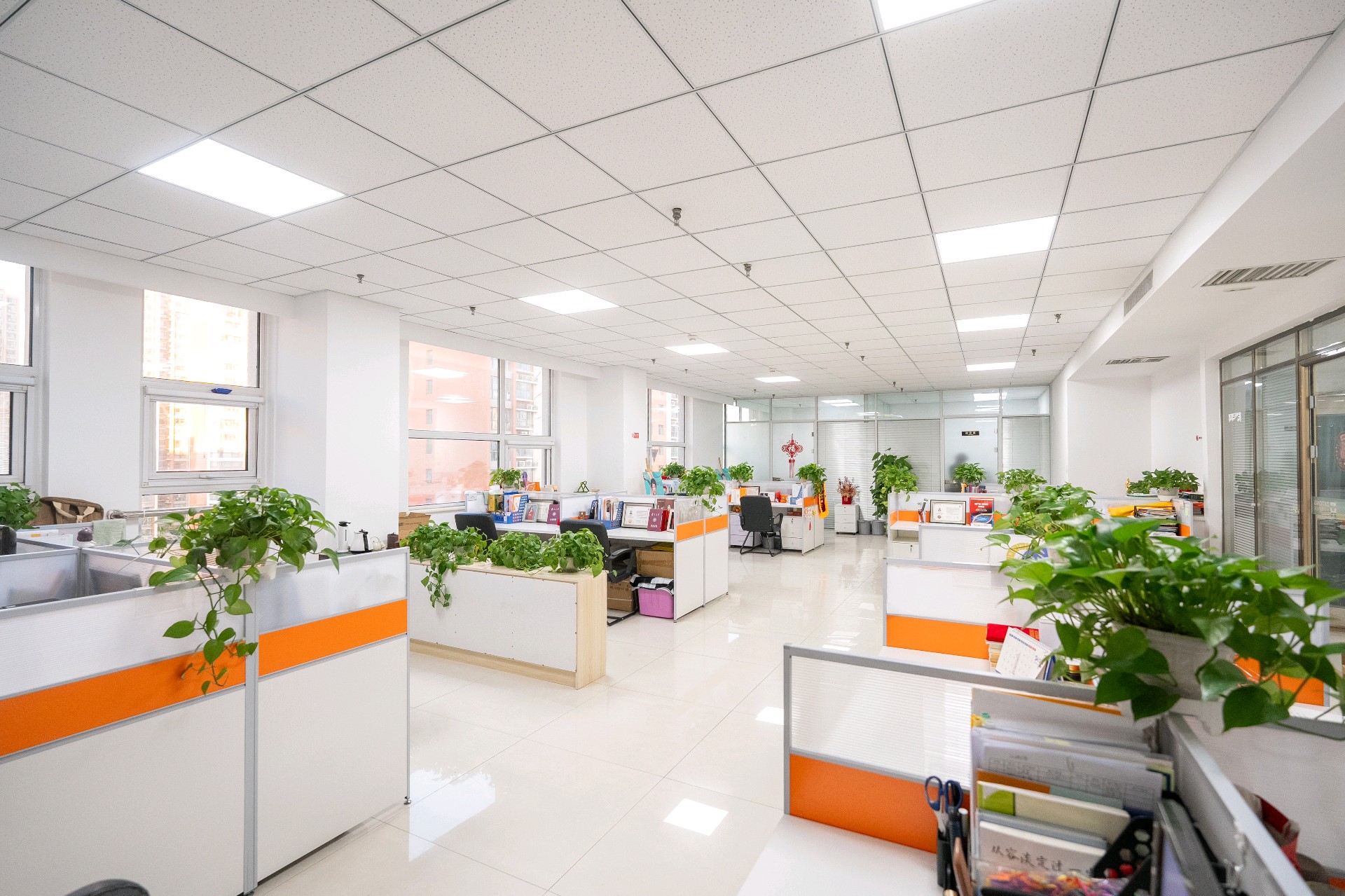 大童保险销售服务有限公司河北衡水营业部介绍图片1