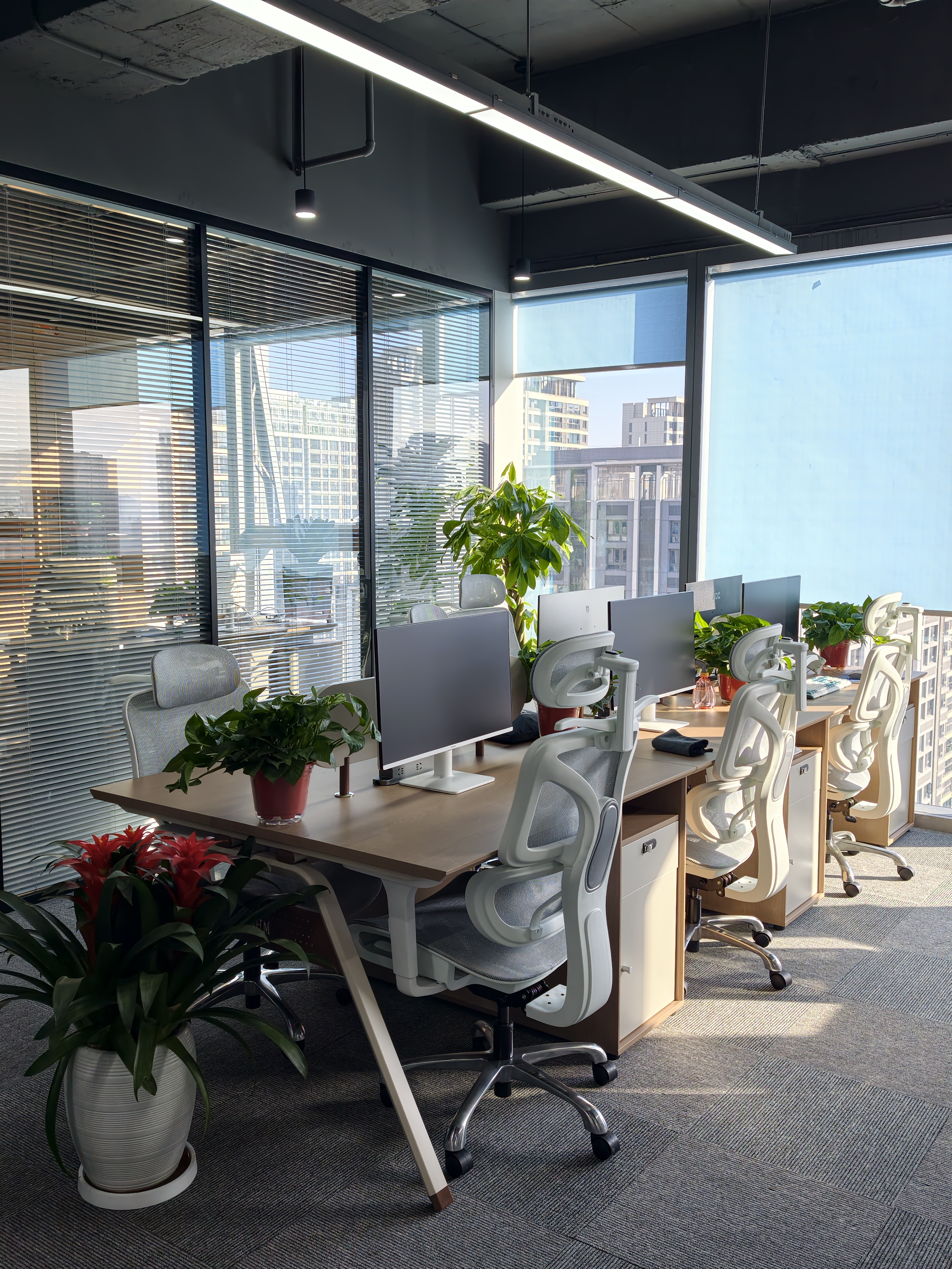 河南晟东新材料有限公司介绍图片1