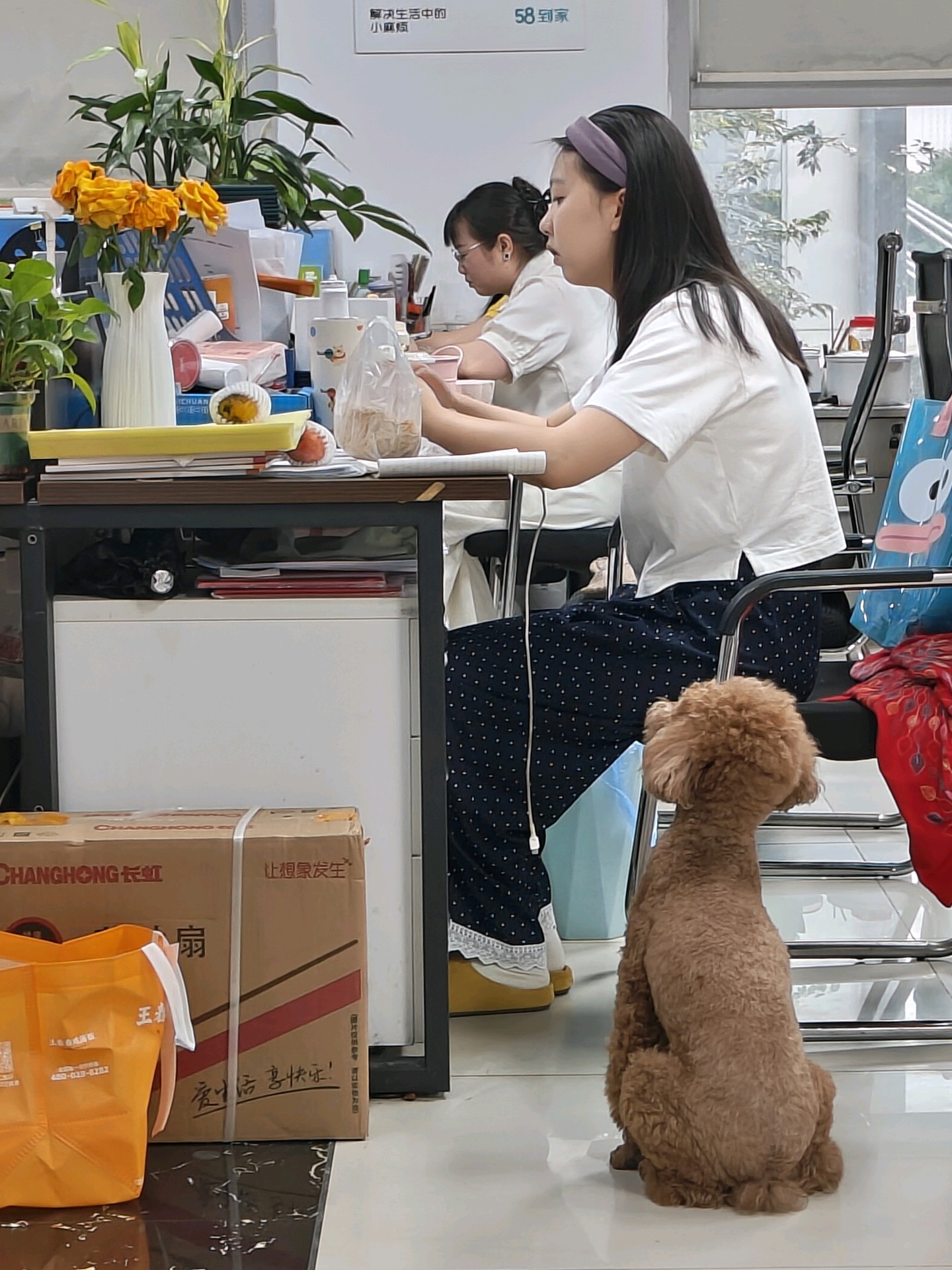 悦享到家（成都）家政服务有限公司介绍图片3