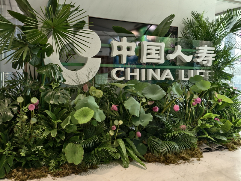 中国人寿保险股份有限公司上海市虹口大连路第二营销服务部介绍图片3
