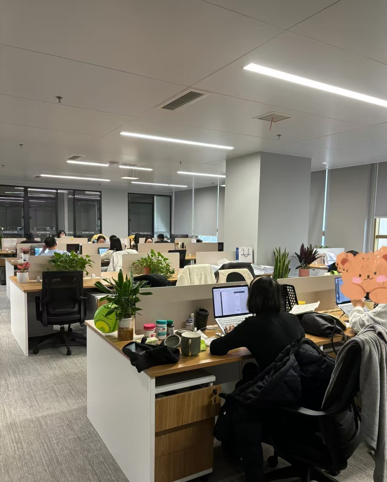 河北重旅轨道交通有限公司介绍图片4