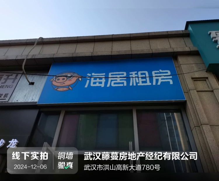 武汉藤蔓房地产经纪有限公司介绍图片1