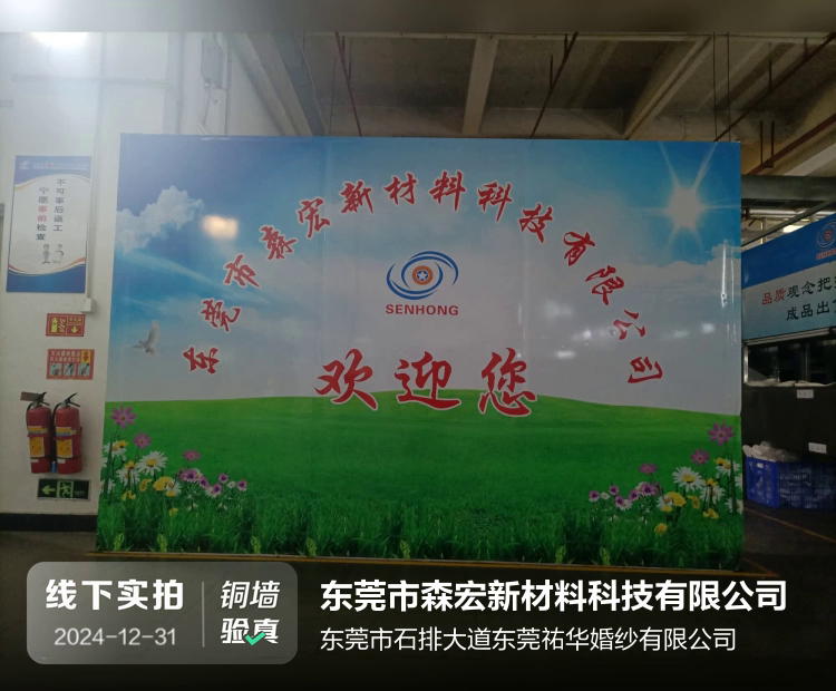 东莞市森宏新材料科技有限公司介绍图片2