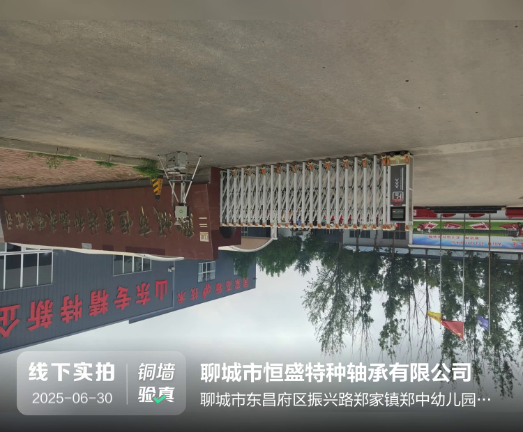 聊城市恒盛特种轴承有限公司介绍图片1