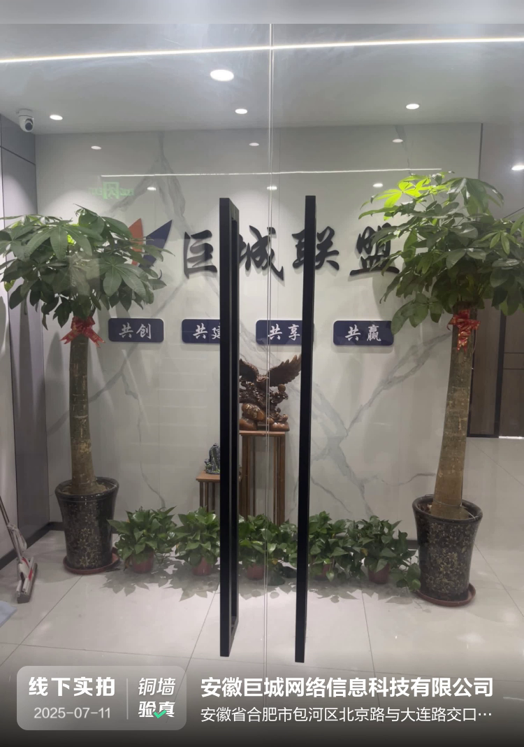 安徽巨城网络信息科技有限公司介绍图片1