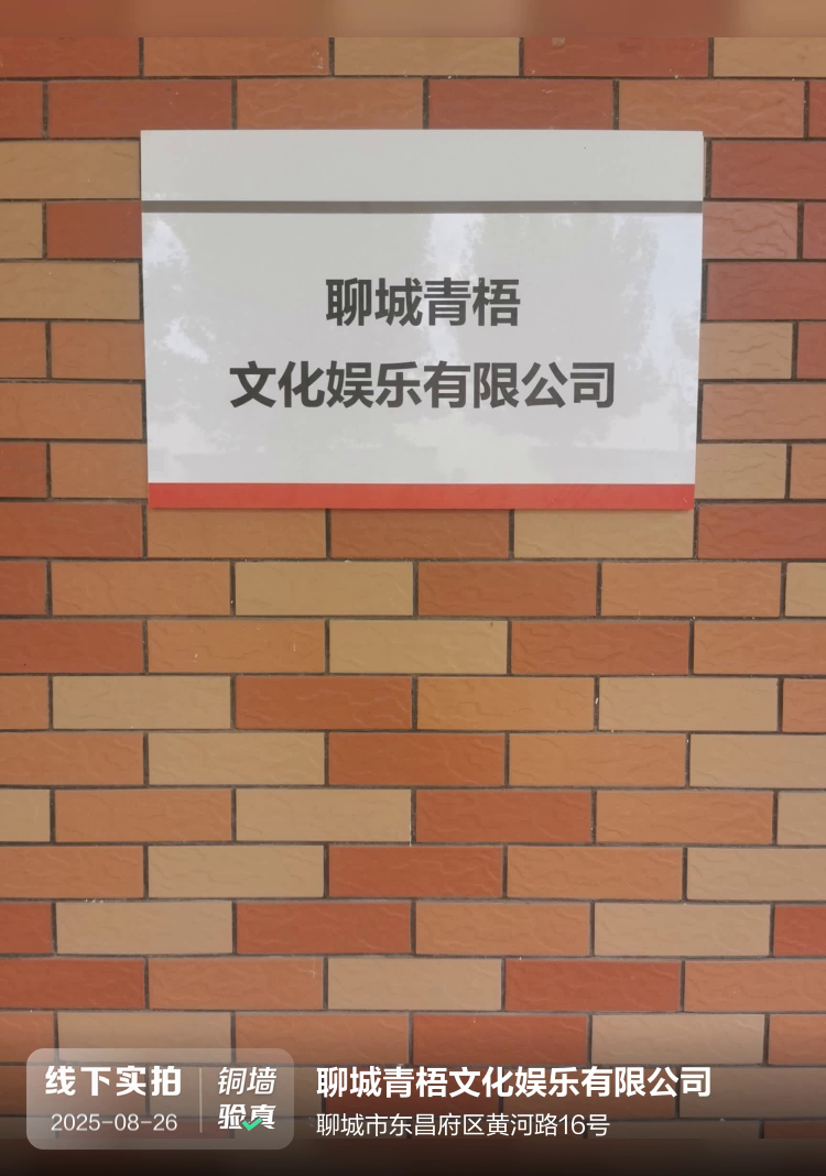聊城青梧文化娱乐有限公司介绍图片1