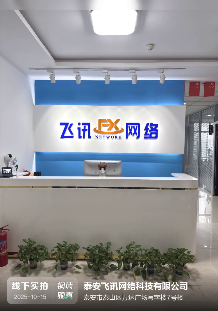 泰安飞讯网络科技有限公司介绍图片1