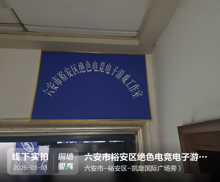 六安市裕安区绝色电竞电子游戏工作室（个体工商户）介绍图片1